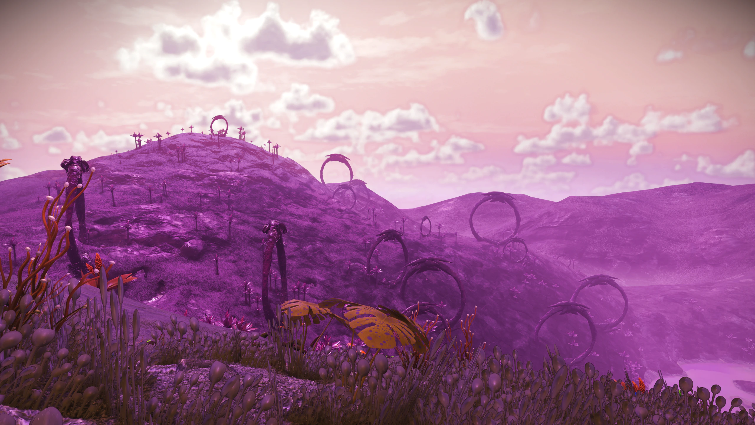 No Man's Sky Screenshot